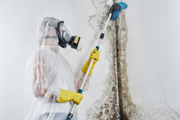 Water Damage Restoration in Forestville, CA