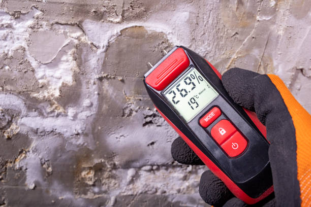 Certified Mold Removal in Forestville, CA