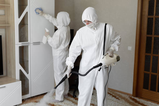 Best Certified Mold Removal  in Forestville, CA