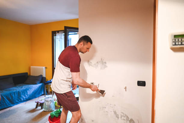 Best Office Mold Removal Services  in Forestville, CA